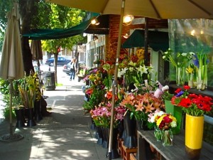 Marin Flower Stand Marin county, mill valley, flowers, travel