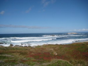Monterey, pacific ocean, travel, nancy d. brown