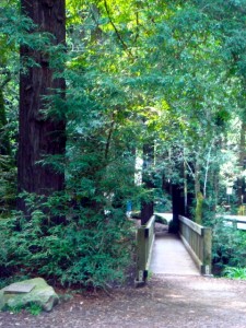 Old Mill Park Bridge