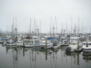 Pillar Point Harbor, Half Moon Bay, Insider Tips, Things to see and do, California, Nancy D. Brown, travel
