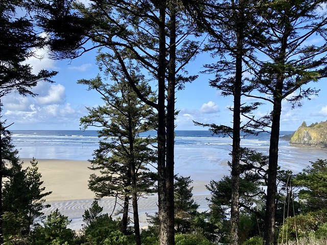 Pacific ocean and Agate Cove beach peek through Douglas fir trees from the Ocean House Newport Oregon garden. 