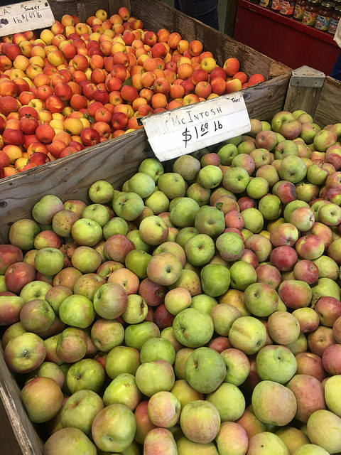 boa vista farms apples, 5 tips for apple hill apple picking