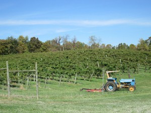 tractor, Fincastle Vineyard