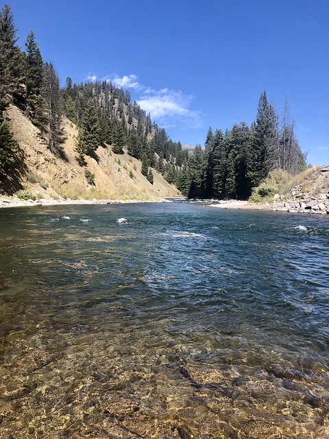 The blue-ribbon trout waters of the Gallatin River start shallow for easy wading access when fly fishing in Big Sky, Montana. 