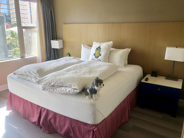 hotel rose review, pet-friendly hotel rose, downtown portland hotel
