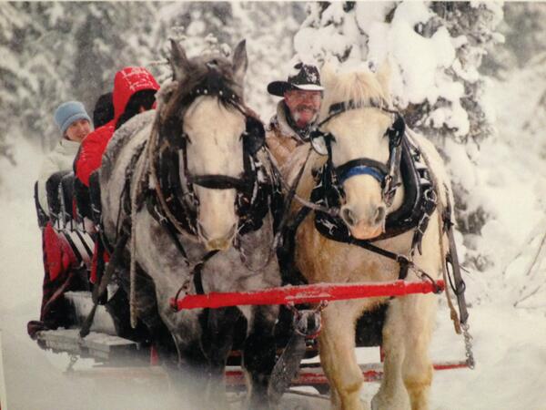 Sleigh, Fairmont Jasper Park Lodge