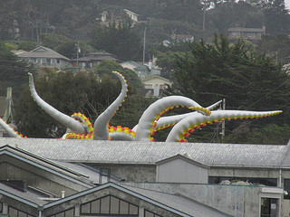 "tentacles" "Monterey Bay Aquarium"