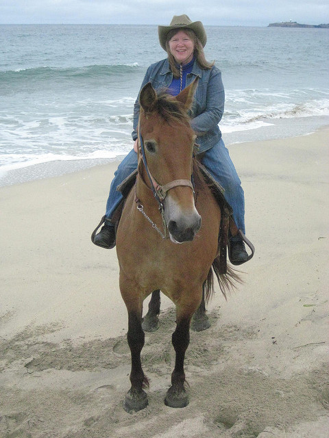horseback riding sea horse ranch, poplar beach, half moon bay, nancy brown, travel writer, writing horseback 