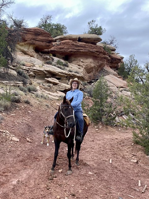Travel Writer and Equestrian Travel Expert Nancy D. Brown horseback riding in Canyon of the the Ancients National Monument in Cortez, Colorado.