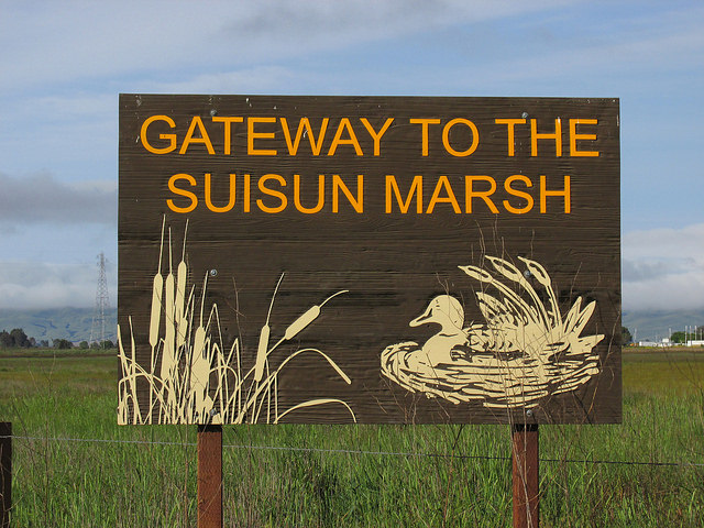 Suisun Marsh, Suisun Valley, California
